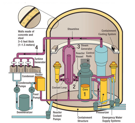 Figure 1. A Typical Pressurized-Water Reactor